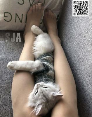 国产一体化污水泵站_1080免费观看